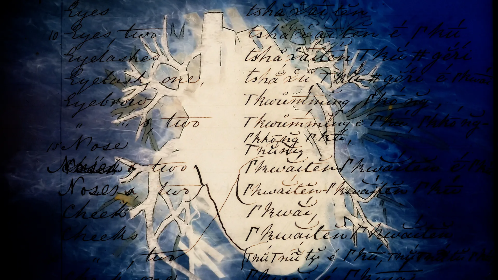 shot 2 from movie The Sending of the Crows by Judith Westerveld